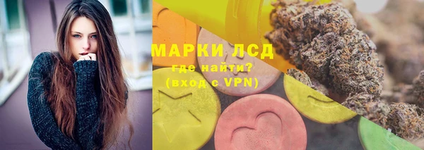 apvp Ростов