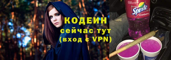 apvp Рославль