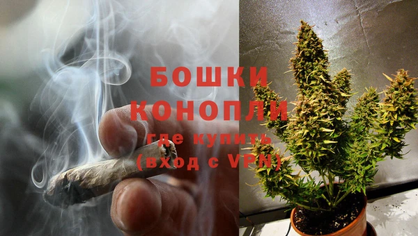 apvp Рославль