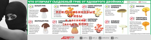 apvp Ростов