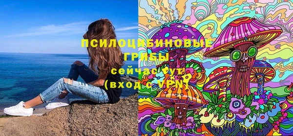 apvp Рославль