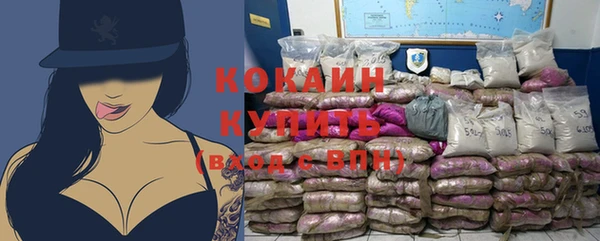 apvp Рославль