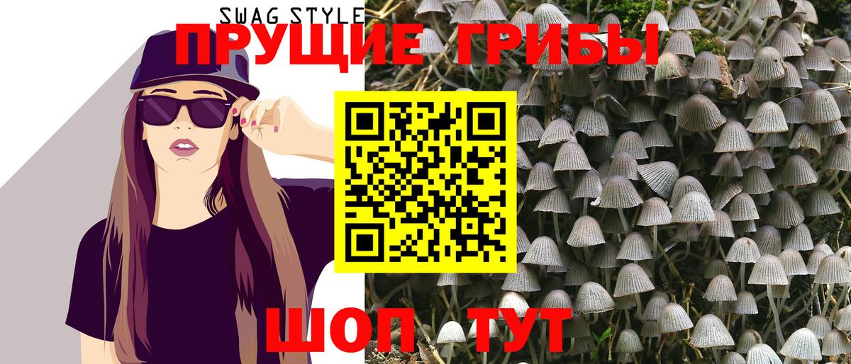 Азов  Галлюциногенные грибы Psilocybine cubensis  Вход с VPN 