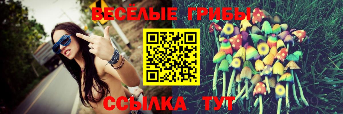 Галлюциногенные грибы Cubensis Азов