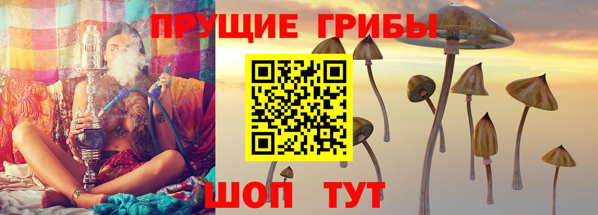 цены наркотик  Псилоцибиновые грибы прущие грибы  Азов  Псилоцибиновые грибы Psilocybe 